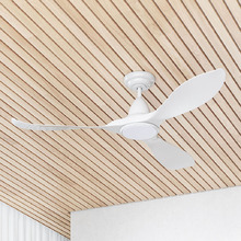 Noosa DC Ceiling Fan with LED